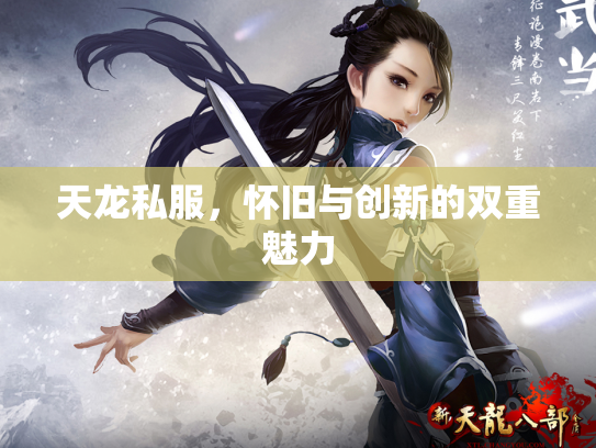天龙私服，怀旧与创新的双重魅力
