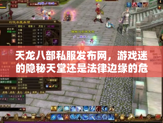 天龙八部私服发布网，游戏迷的隐秘天堂还是法律边缘的危险地带？