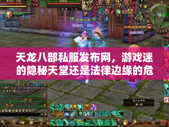 天龙八部私服发布网，游戏迷的隐秘天堂还是法律边缘的危险地带？