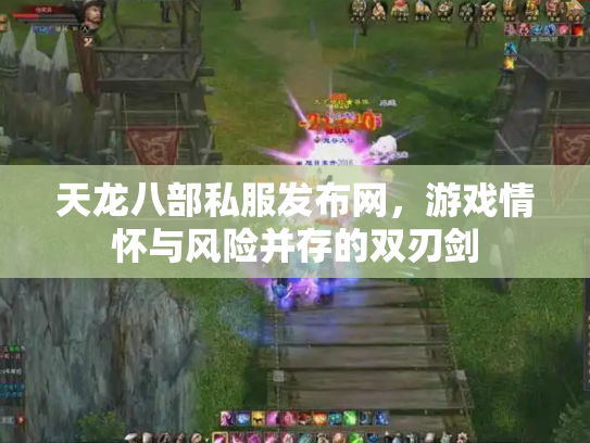 天龙八部私服发布网，游戏情怀与风险并存的双刃剑