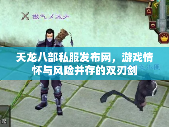 天龙八部私服发布网，游戏情怀与风险并存的双刃剑
