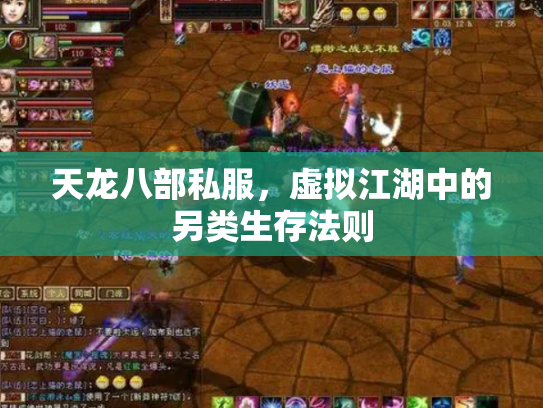 天龙八部私服，虚拟江湖中的另类生存法则