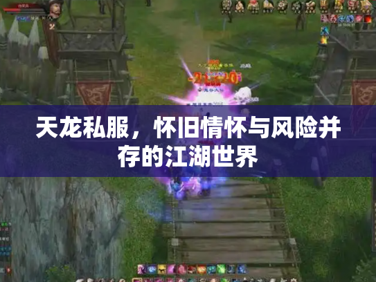 天龙私服，怀旧情怀与风险并存的江湖世界