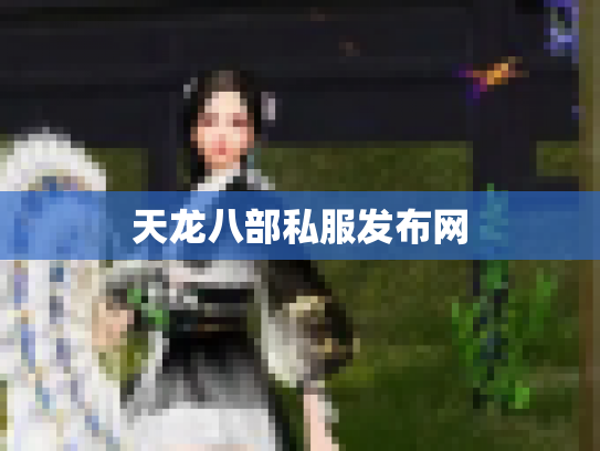 天龙八部私服发布网