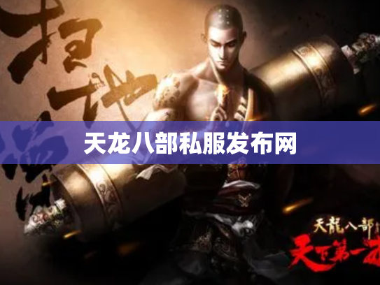 天龙八部私服发布网