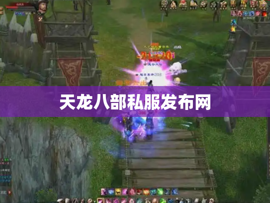天龙八部私服发布网