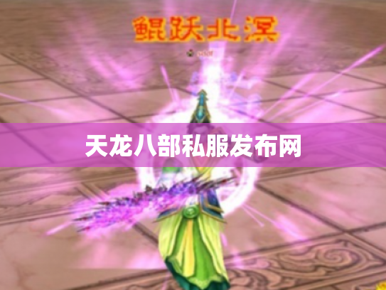 天龙八部私服发布网