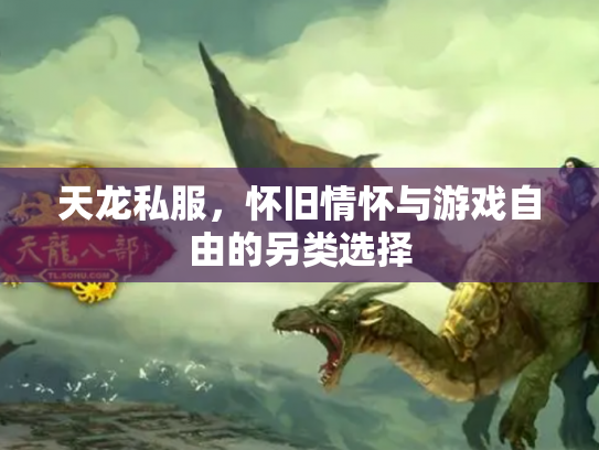 天龙私服，怀旧情怀与游戏自由的另类选择