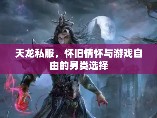 天龙私服，怀旧情怀与游戏自由的另类选择
