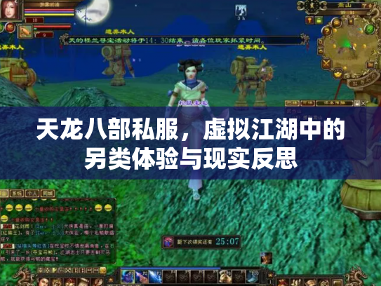 天龙八部私服，虚拟江湖中的另类体验与现实反思