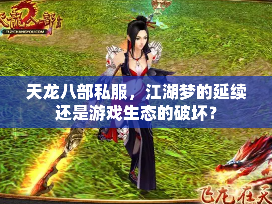 天龙八部私服，江湖梦的延续还是游戏生态的破坏？