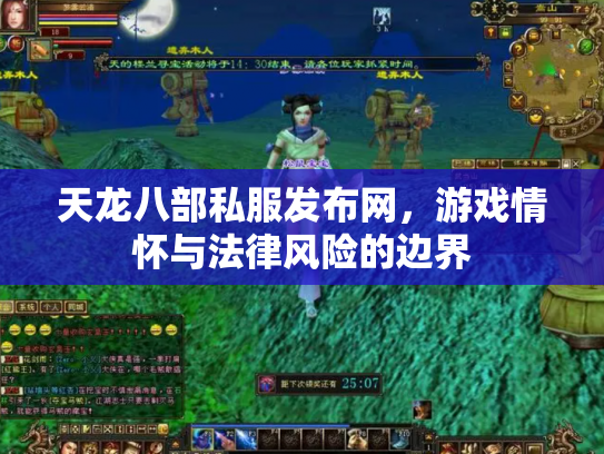 天龙八部私服发布网，游戏情怀与法律风险的边界