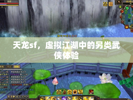 天龙sf，虚拟江湖中的另类武侠体验