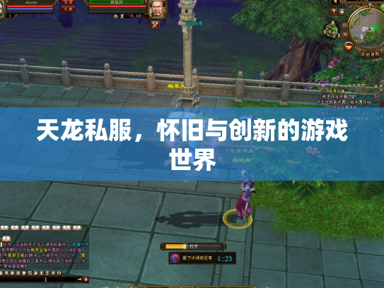 天龙私服，怀旧与创新的游戏世界