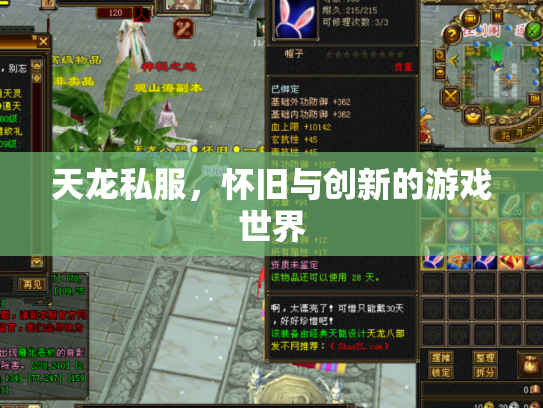 天龙私服，怀旧与创新的游戏世界