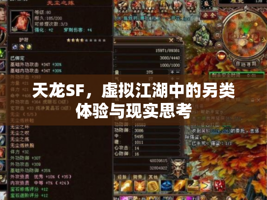 天龙SF，虚拟江湖中的另类体验与现实思考