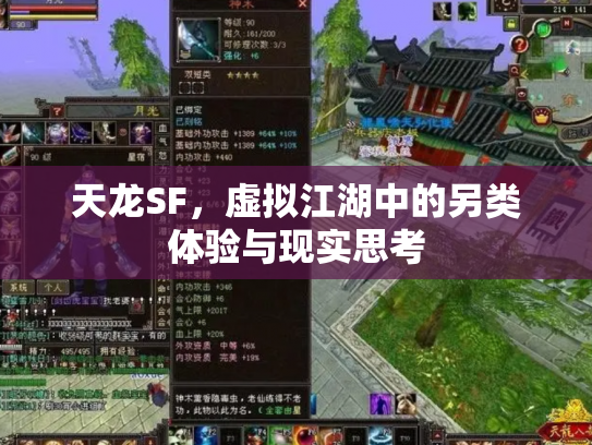 天龙SF，虚拟江湖中的另类体验与现实思考