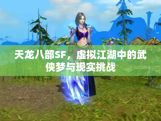 天龙八部SF，虚拟江湖中的武侠梦与现实挑战