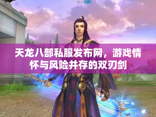天龙八部私服发布网，游戏情怀与风险并存的双刃剑
