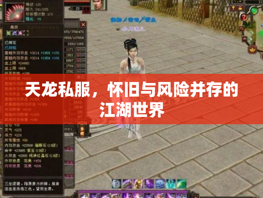 天龙私服，怀旧与风险并存的江湖世界