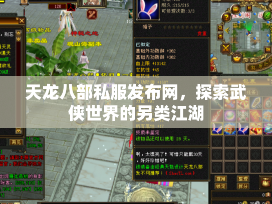 天龙八部私服发布网，探索武侠世界的另类江湖