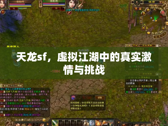 天龙sf，虚拟江湖中的真实激情与挑战