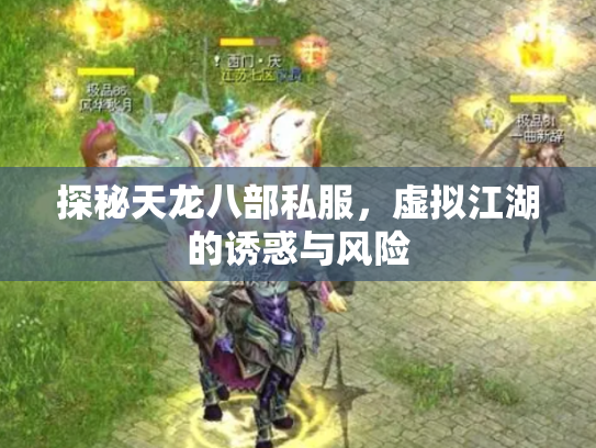 探秘天龙八部私服，虚拟江湖的诱惑与风险