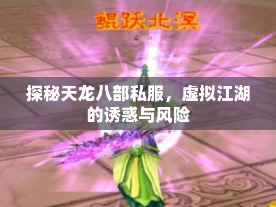 探秘天龙八部私服，虚拟江湖的诱惑与风险