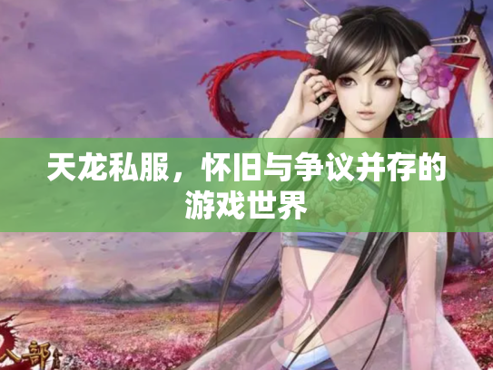 天龙私服，怀旧与争议并存的游戏世界