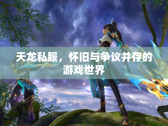 天龙私服，怀旧与争议并存的游戏世界