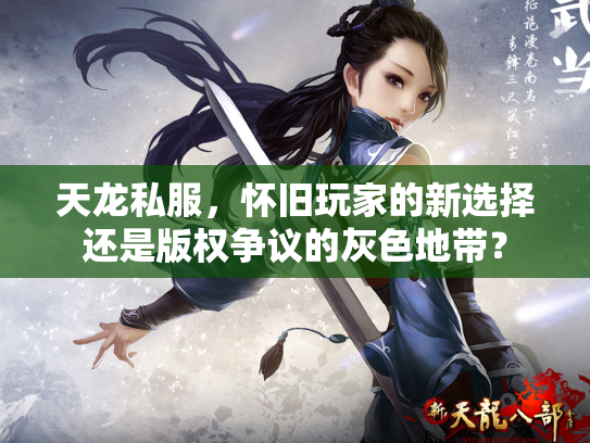 天龙私服，怀旧玩家的新选择还是版权争议的灰色地带？