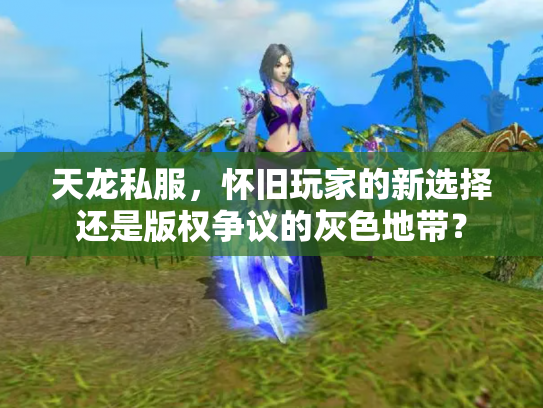 天龙私服，怀旧玩家的新选择还是版权争议的灰色地带？
