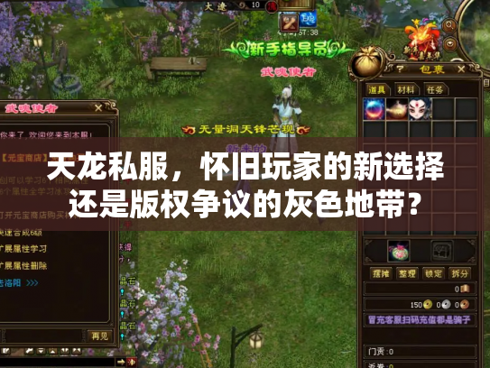 天龙私服，怀旧玩家的新选择还是版权争议的灰色地带？