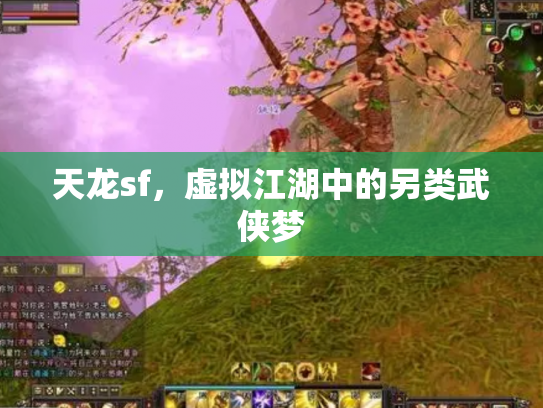 天龙sf，虚拟江湖中的另类武侠梦