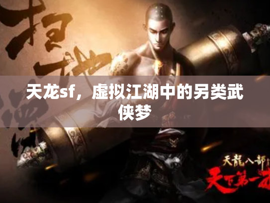 天龙sf，虚拟江湖中的另类武侠梦