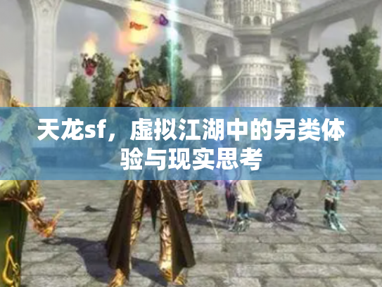 天龙sf，虚拟江湖中的另类体验与现实思考