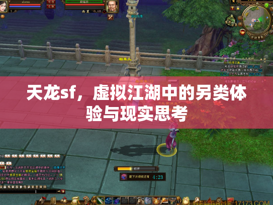 天龙sf，虚拟江湖中的另类体验与现实思考