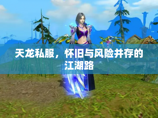 天龙私服，怀旧与风险并存的江湖路