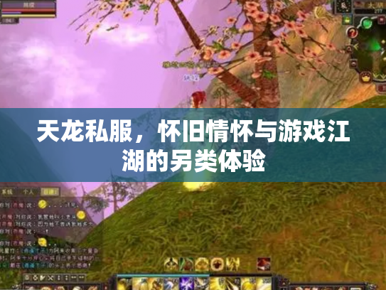 天龙私服，怀旧情怀与游戏江湖的另类体验