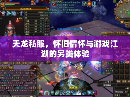天龙私服，怀旧情怀与游戏江湖的另类体验