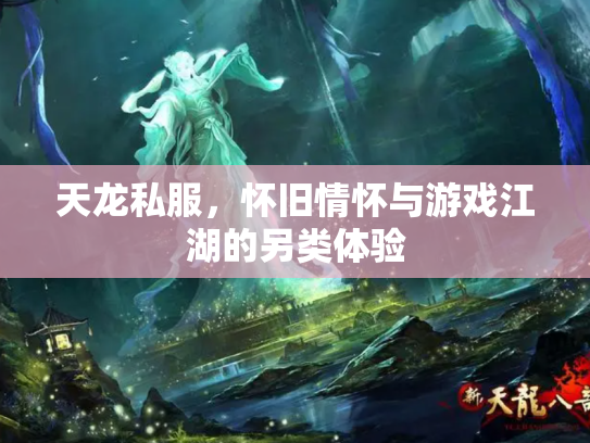 天龙私服，怀旧情怀与游戏江湖的另类体验