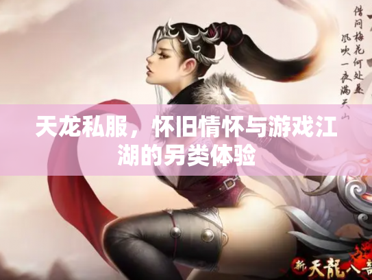 天龙私服，怀旧情怀与游戏江湖的另类体验