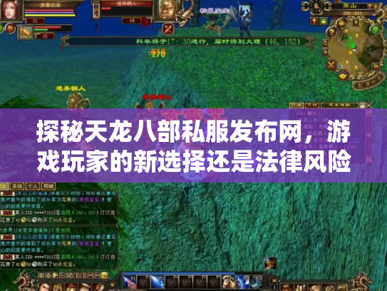 探秘天龙八部私服发布网，游戏玩家的新选择还是法律风险？