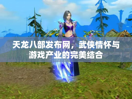 天龙八部发布网，武侠情怀与游戏产业的完美结合