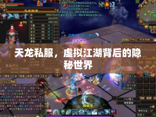 天龙私服，虚拟江湖背后的隐秘世界