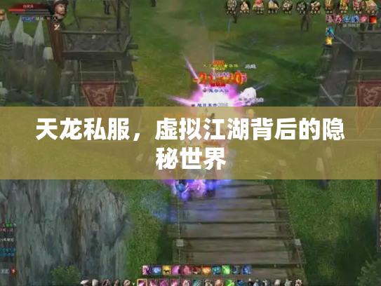 天龙私服，虚拟江湖背后的隐秘世界