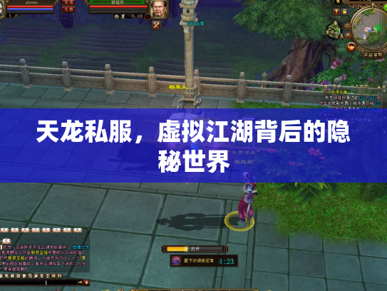 天龙私服，虚拟江湖背后的隐秘世界
