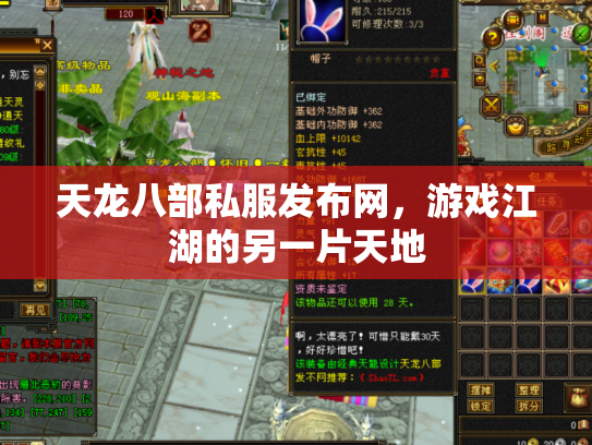 天龙八部私服发布网，游戏江湖的另一片天地