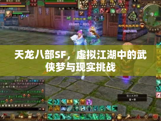 天龙八部SF，虚拟江湖中的武侠梦与现实挑战