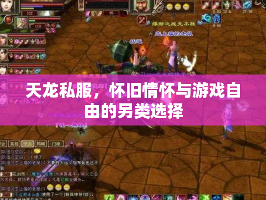 天龙私服，怀旧情怀与游戏自由的另类选择
